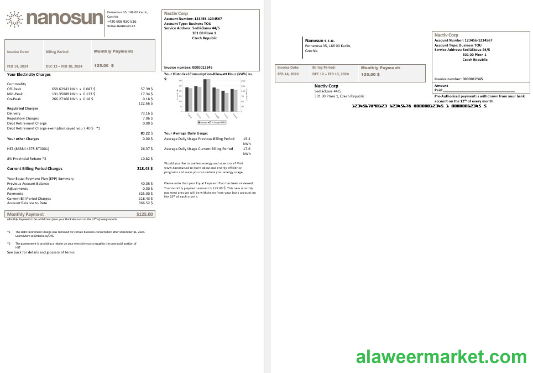 Czech Republic Nanosun sro business utility bill template in Word in pfd formats